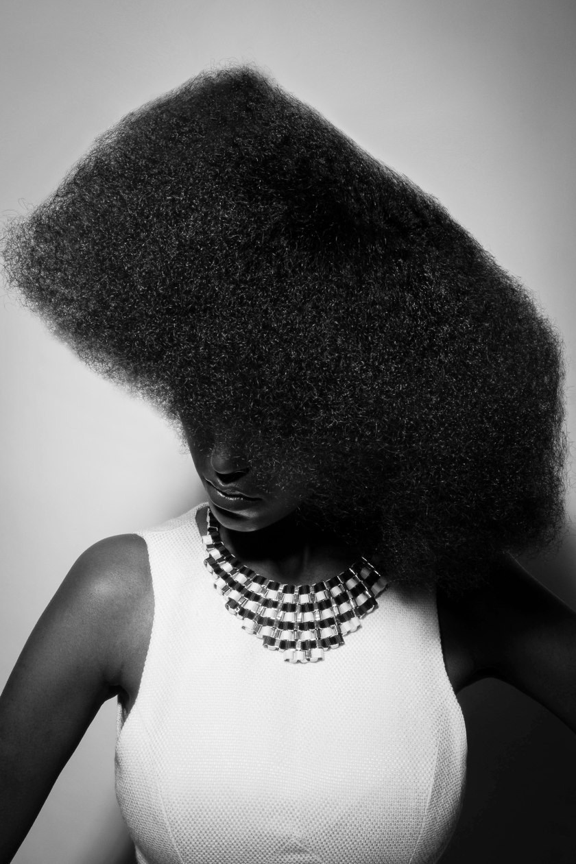 2014 Hair and Beauty Industry Association Client: Bridget Gay, Hair Stylists